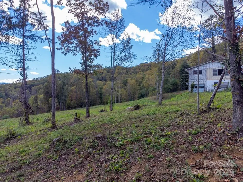 8125 Ellijay Road Franklin, NC 28734
