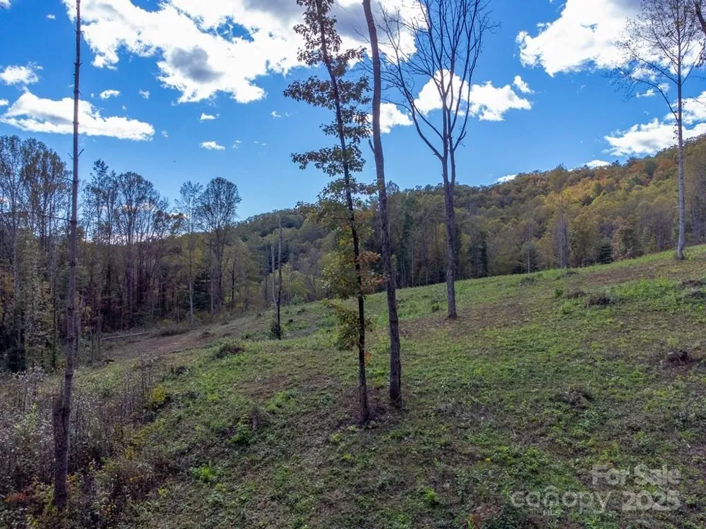 8125 Ellijay Road Franklin, NC 28734