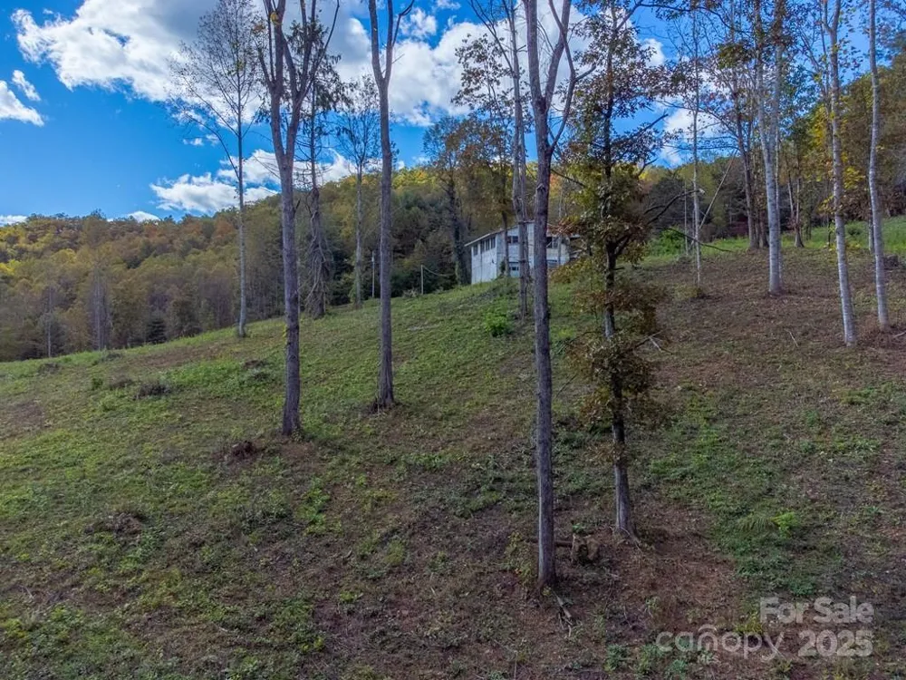 8125 Ellijay Road Franklin, NC 28734