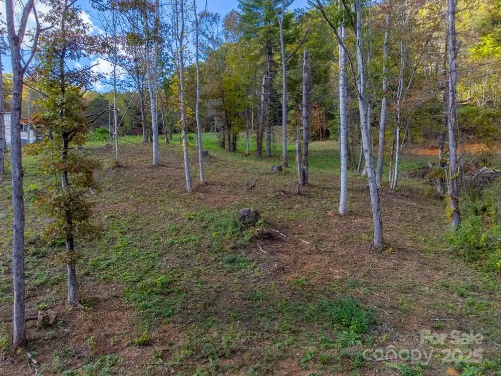 8125 Ellijay Road Franklin, NC 28734