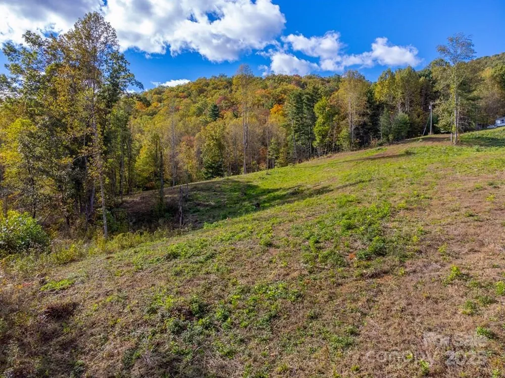 8125 Ellijay Road Franklin, NC 28734