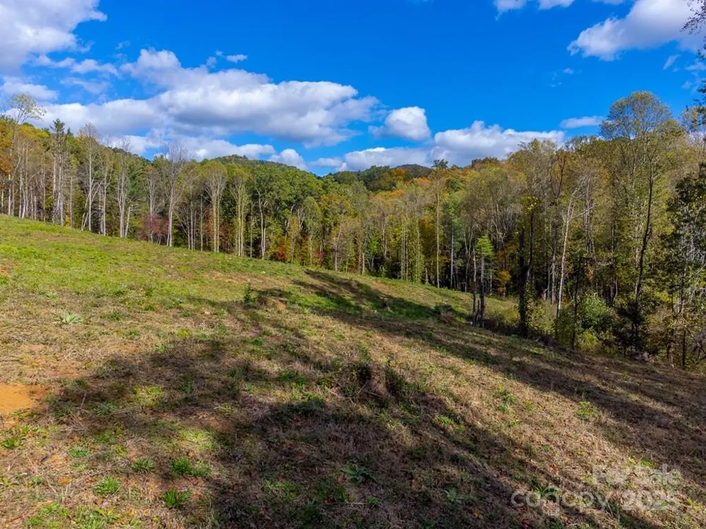 8125 Ellijay Road Franklin, NC 28734