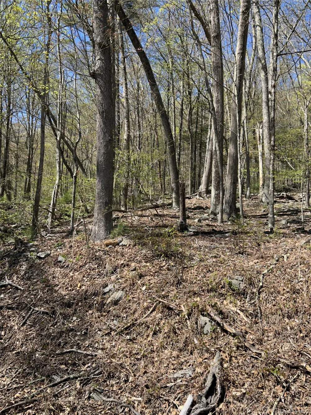 14 Hawk Mountain Drive Sparrowbush, NY 12780