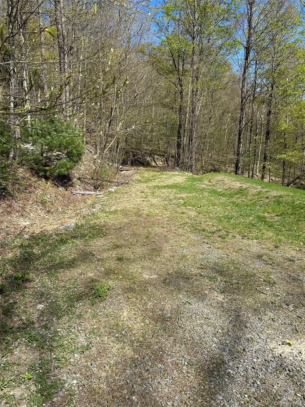 14 Hawk Mountain Drive Sparrowbush, NY 12780