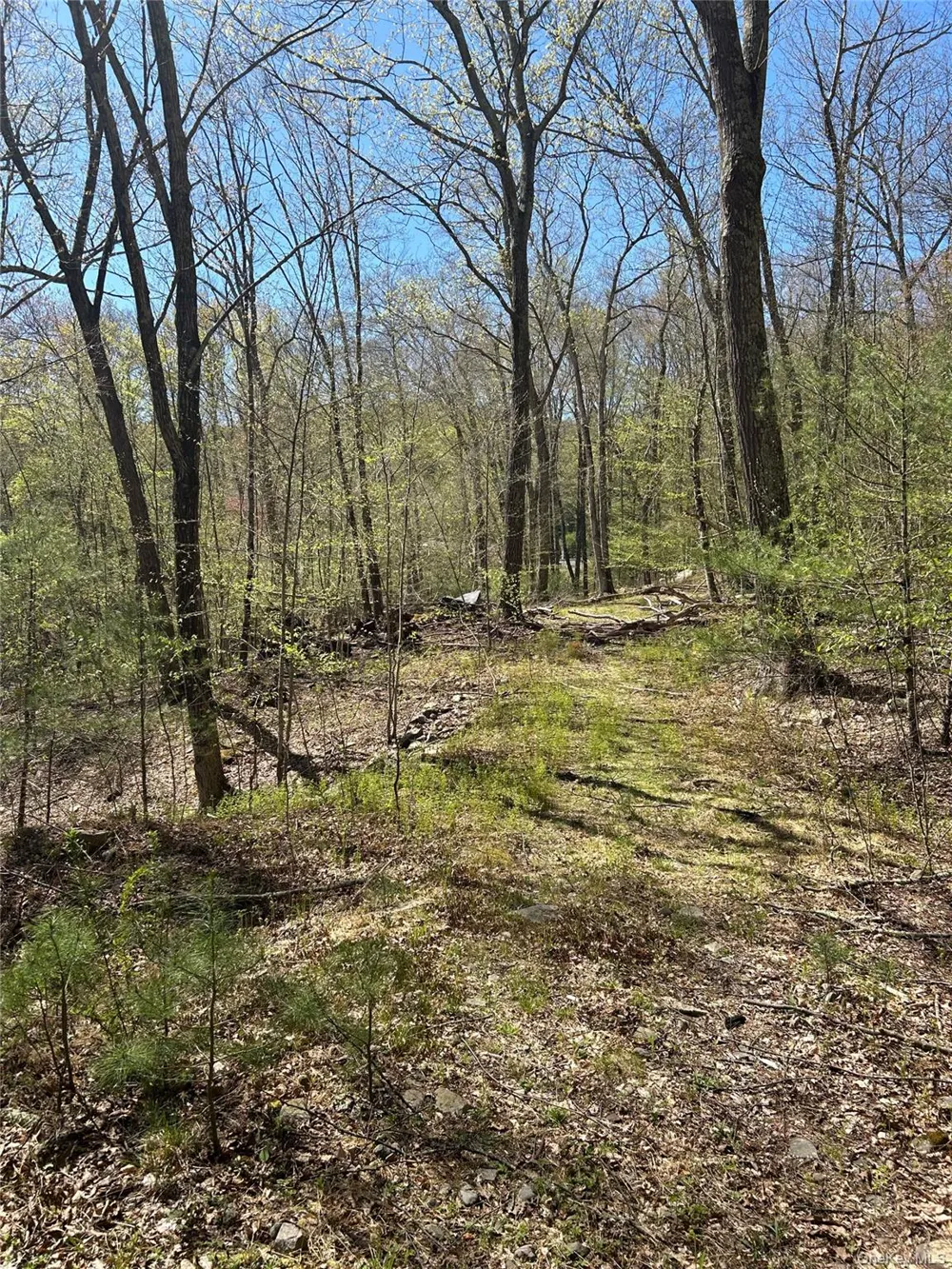 14 Hawk Mountain Drive Sparrowbush, NY 12780