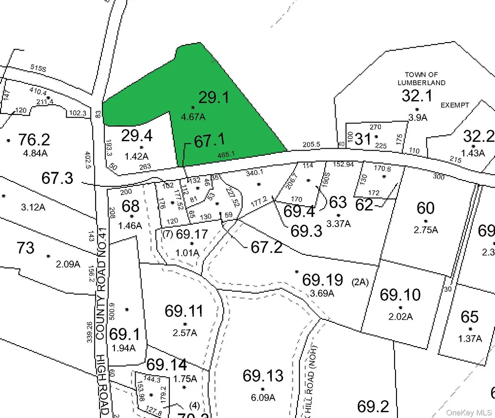 1122 County Route 31 Glen Spey, NY 12737