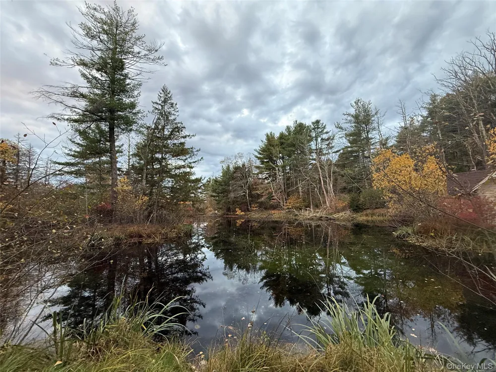 1122 County Route 31 Glen Spey, NY 12737