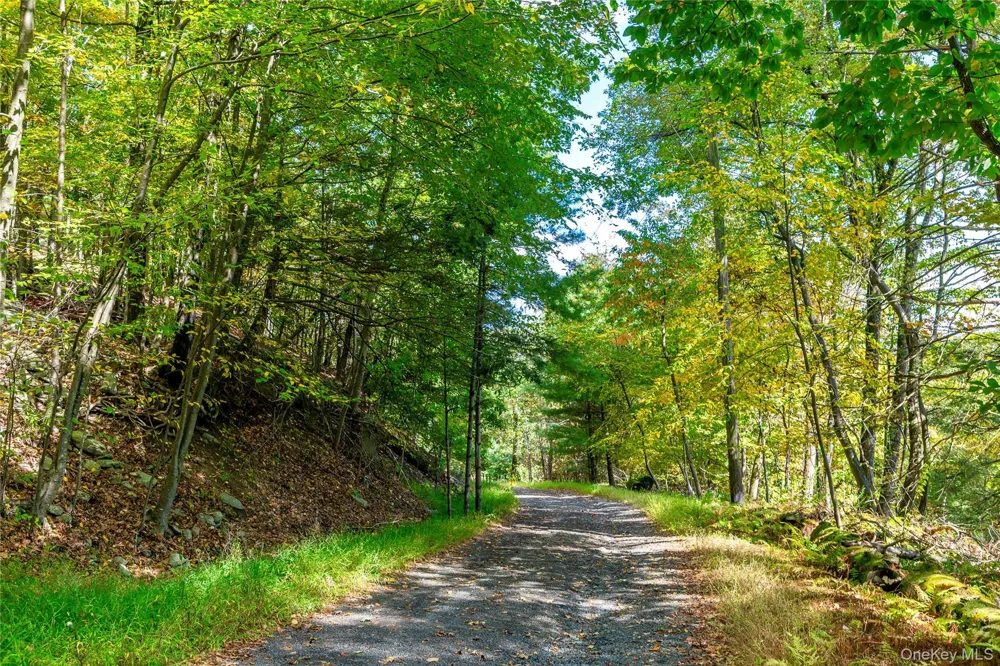 39 Hornbeck Lane Accord, NY 12404