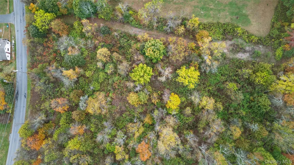 37 Ohioville Road New Paltz, NY 12561