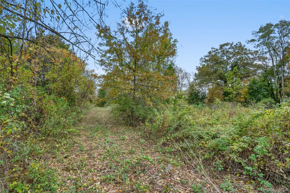 37 Ohioville Road New Paltz, NY 12561
