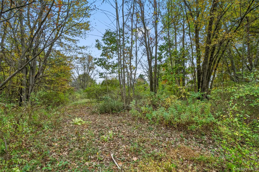 37 Ohioville Road New Paltz, NY 12561