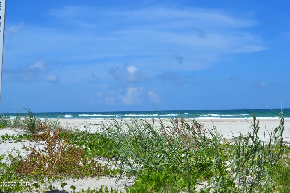 87 Buschman Drive Ponce Inlet, FL 32127