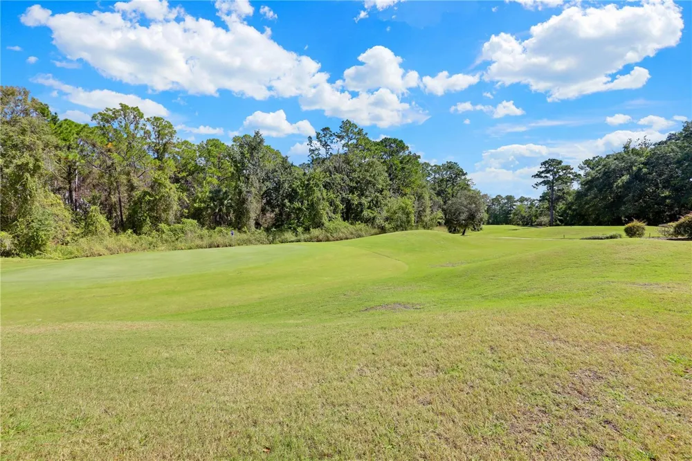 3520 OGLEBAY DRIVE Green Cove Springs, FL 32043
