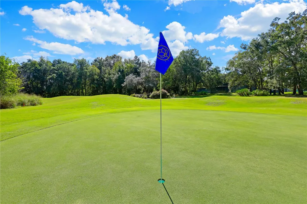 3520 OGLEBAY DRIVE Green Cove Springs, FL 32043