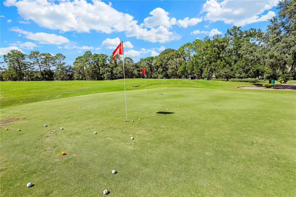 3520 OGLEBAY DRIVE Green Cove Springs, FL 32043