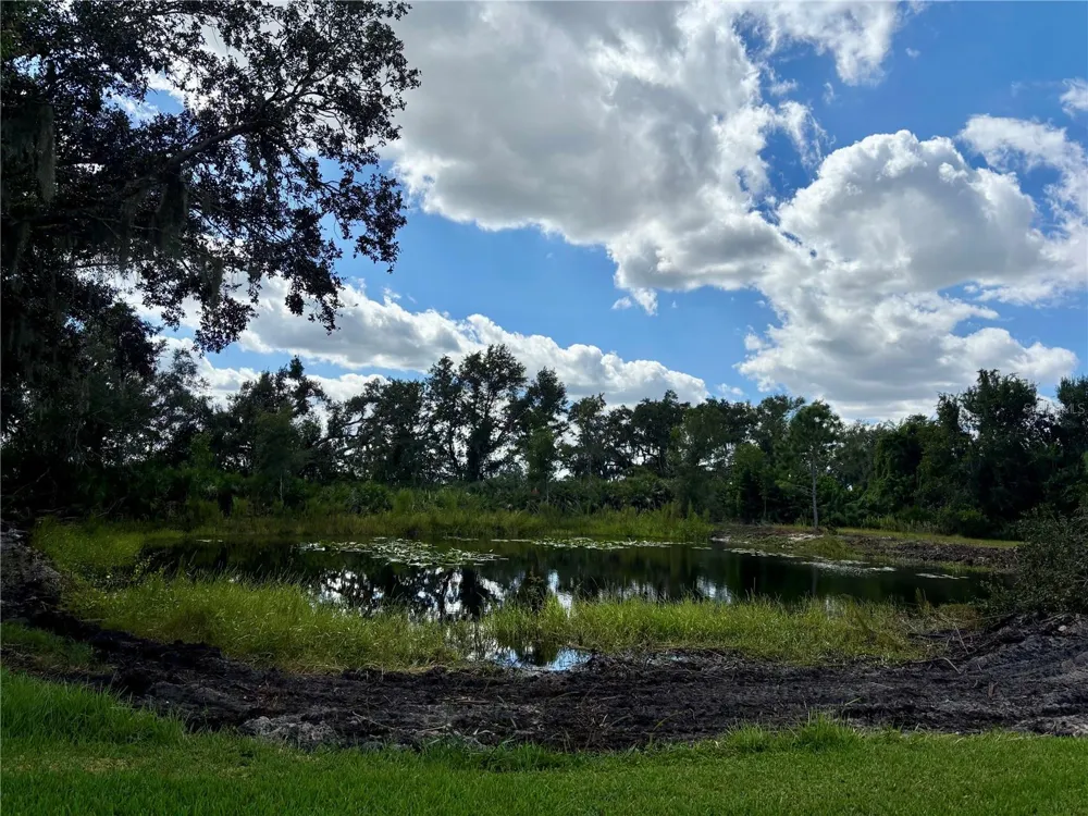 1950 BERN CREEK LOOP Sarasota, FL 34240