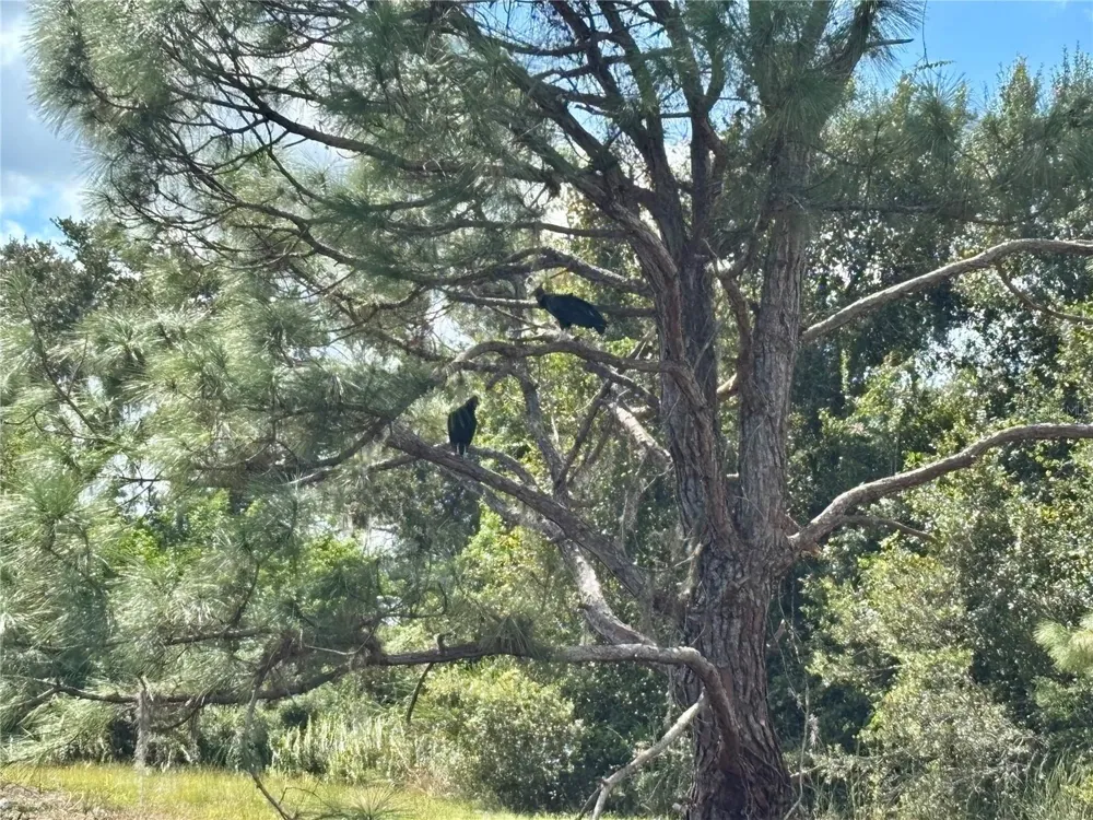 1950 BERN CREEK LOOP Sarasota, FL 34240