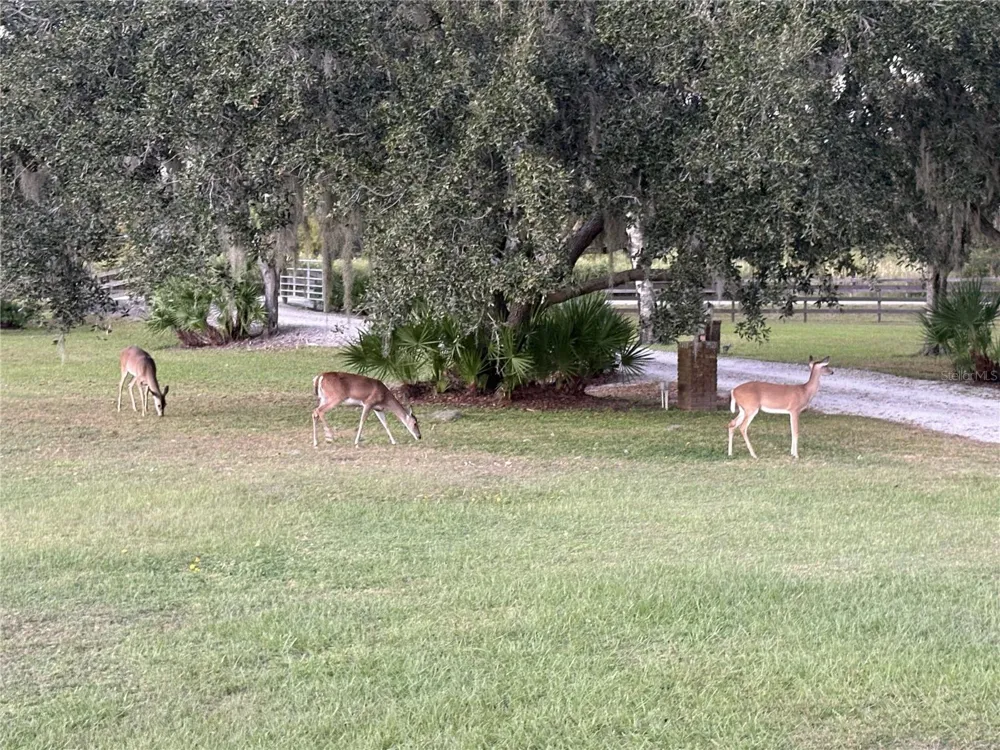 1950 BERN CREEK LOOP Sarasota, FL 34240