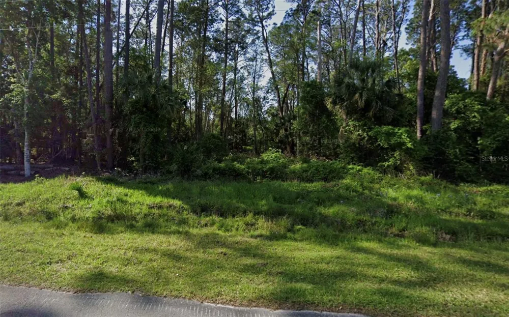 731 PARADISE BOULEVARD Georgetown, FL 32139