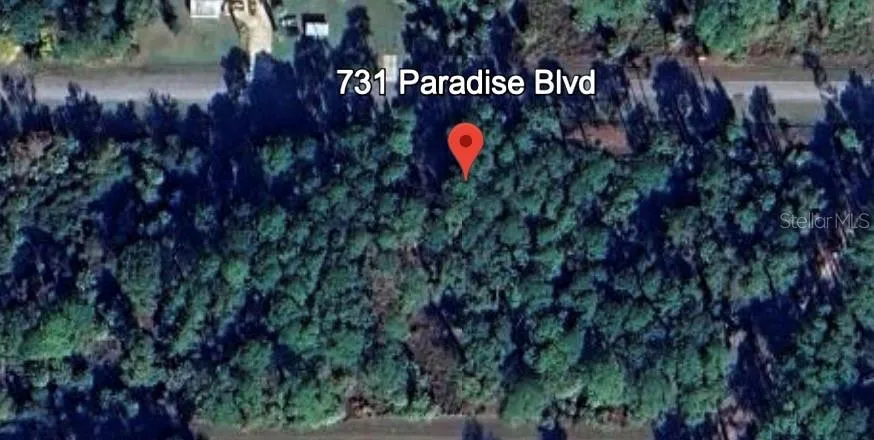 731 PARADISE BOULEVARD Georgetown, FL 32139