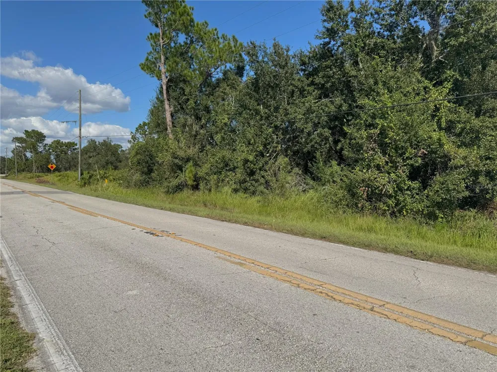 0 ALTURAS BABSON PARK CUT OFF ROAD Bartow, FL 33830