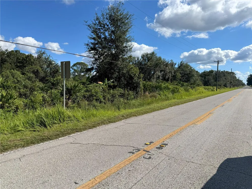 0 ALTURAS BABSON PARK CUT OFF ROAD Bartow, FL 33830