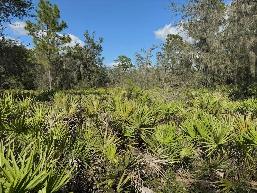 0 ALTURAS BABSON PARK CUT OFF ROAD Bartow, FL 33830