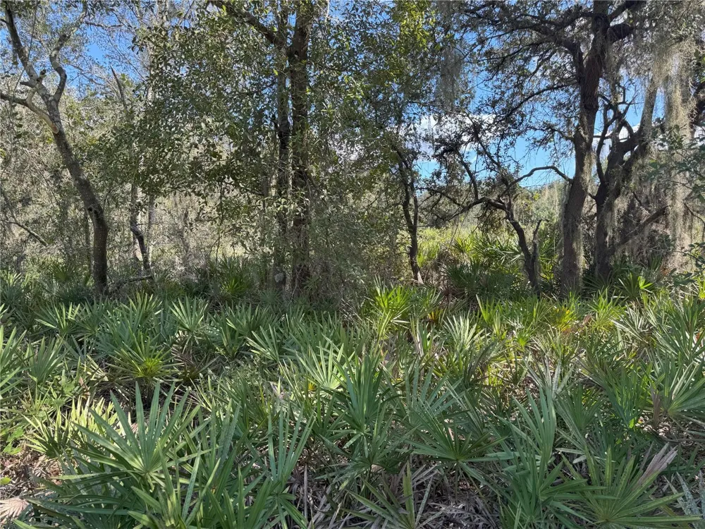 0 ALTURAS BABSON PARK CUT OFF ROAD Bartow, FL 33830