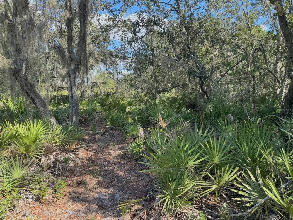 0 ALTURAS BABSON PARK CUT OFF ROAD Bartow, FL 33830