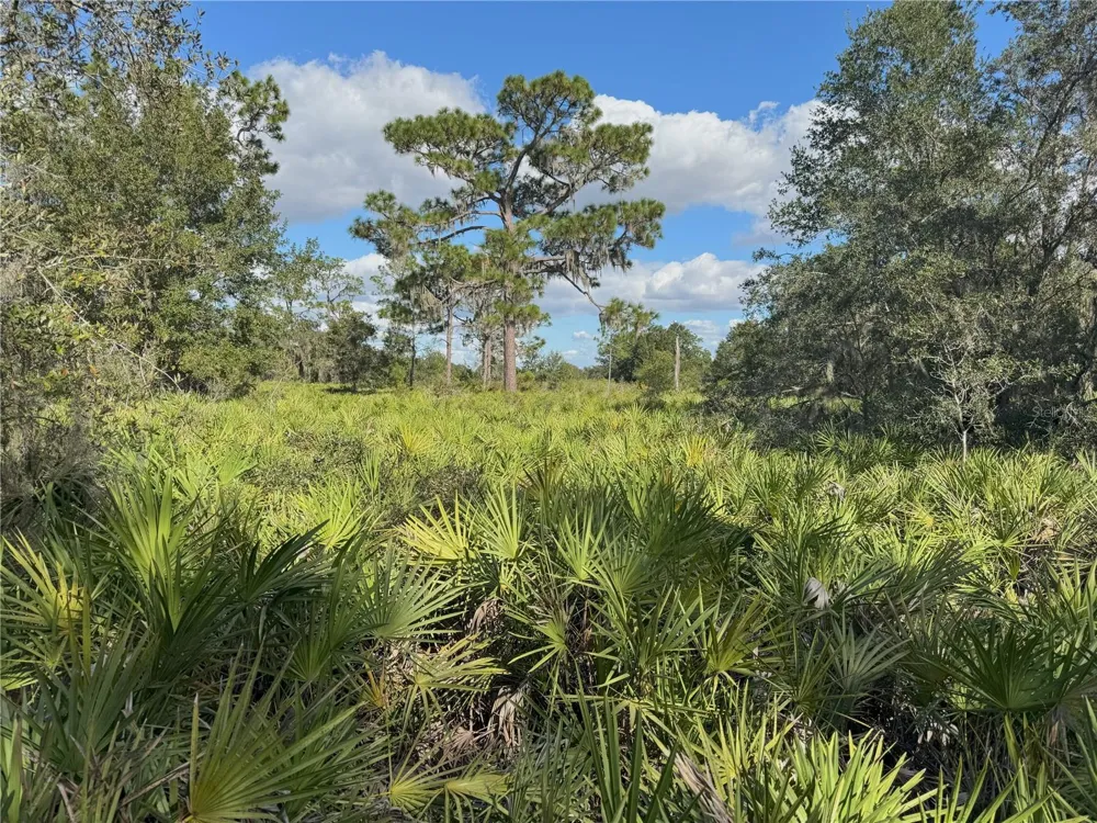 0 ALTURAS BABSON PARK CUT OFF ROAD Bartow, FL 33830