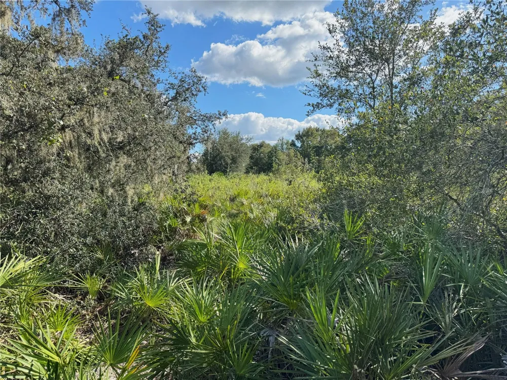 0 ALTURAS BABSON PARK CUT OFF ROAD Bartow, FL 33830