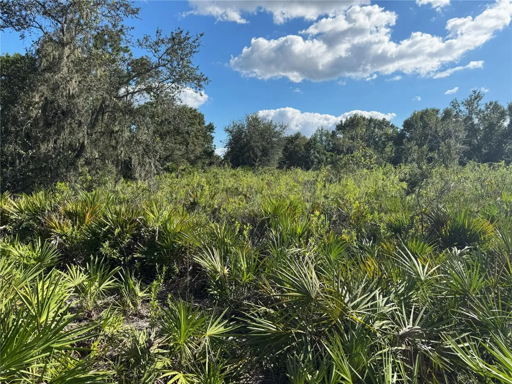 0 ALTURAS BABSON PARK CUT OFF ROAD Bartow, FL 33830