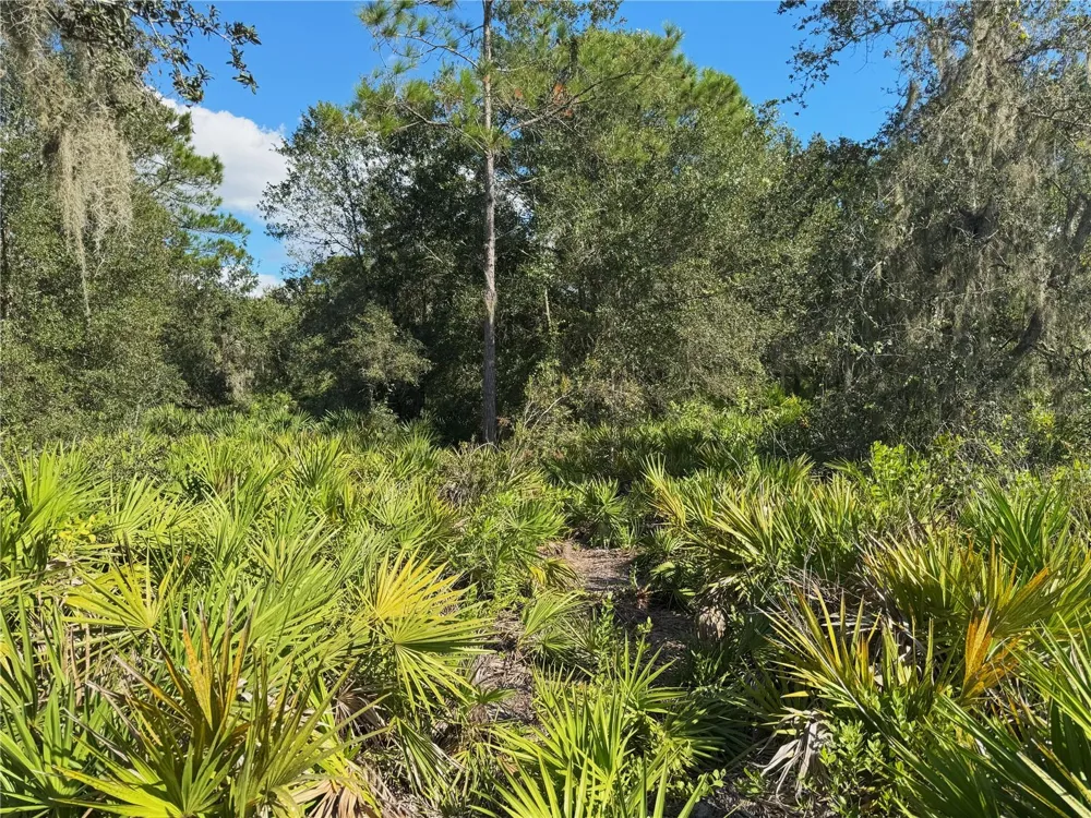 0 ALTURAS BABSON PARK CUT OFF ROAD Bartow, FL 33830