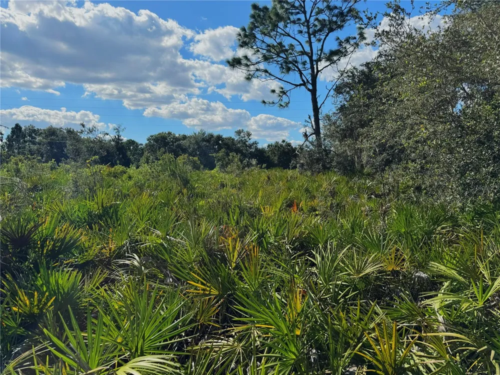 0 ALTURAS BABSON PARK CUT OFF ROAD Bartow, FL 33830