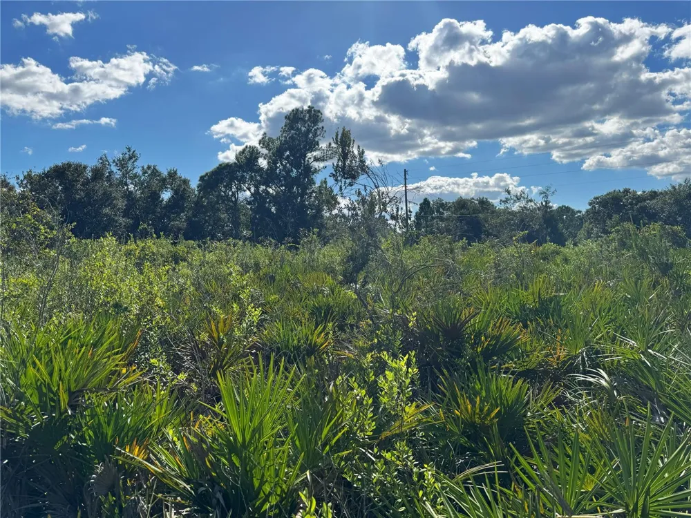 0 ALTURAS BABSON PARK CUT OFF ROAD Bartow, FL 33830