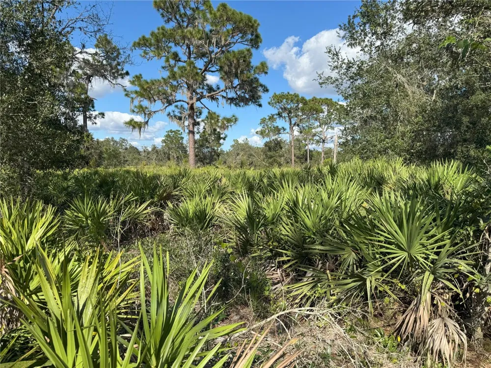 0 ALTURAS BABSON PARK CUT OFF ROAD Bartow, FL 33830