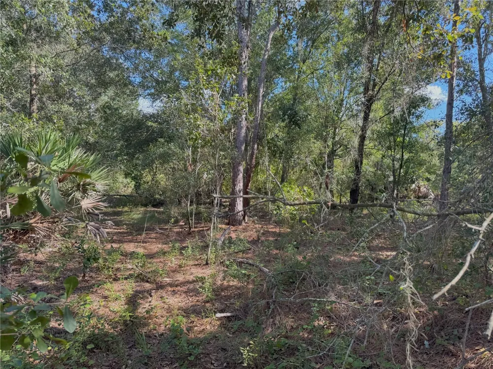 0 ALTURAS BABSON PARK CUT OFF ROAD Bartow, FL 33830