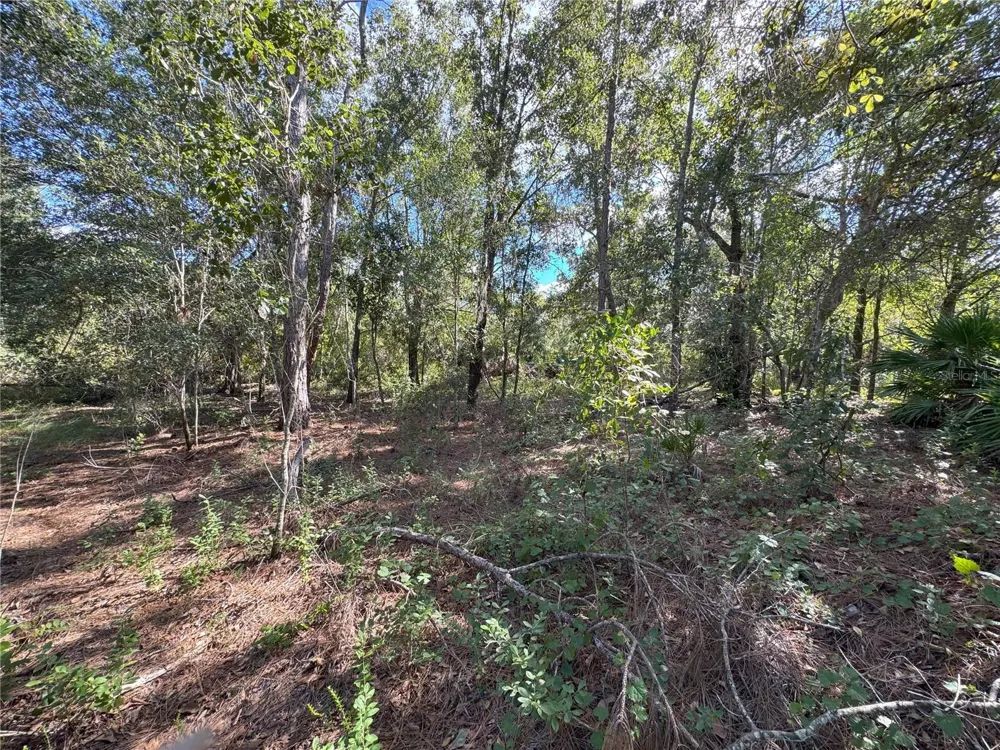0 ALTURAS BABSON PARK CUT OFF ROAD Bartow, FL 33830