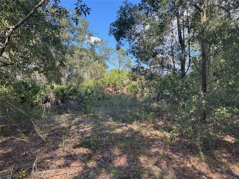 0 ALTURAS BABSON PARK CUT OFF ROAD Bartow, FL 33830