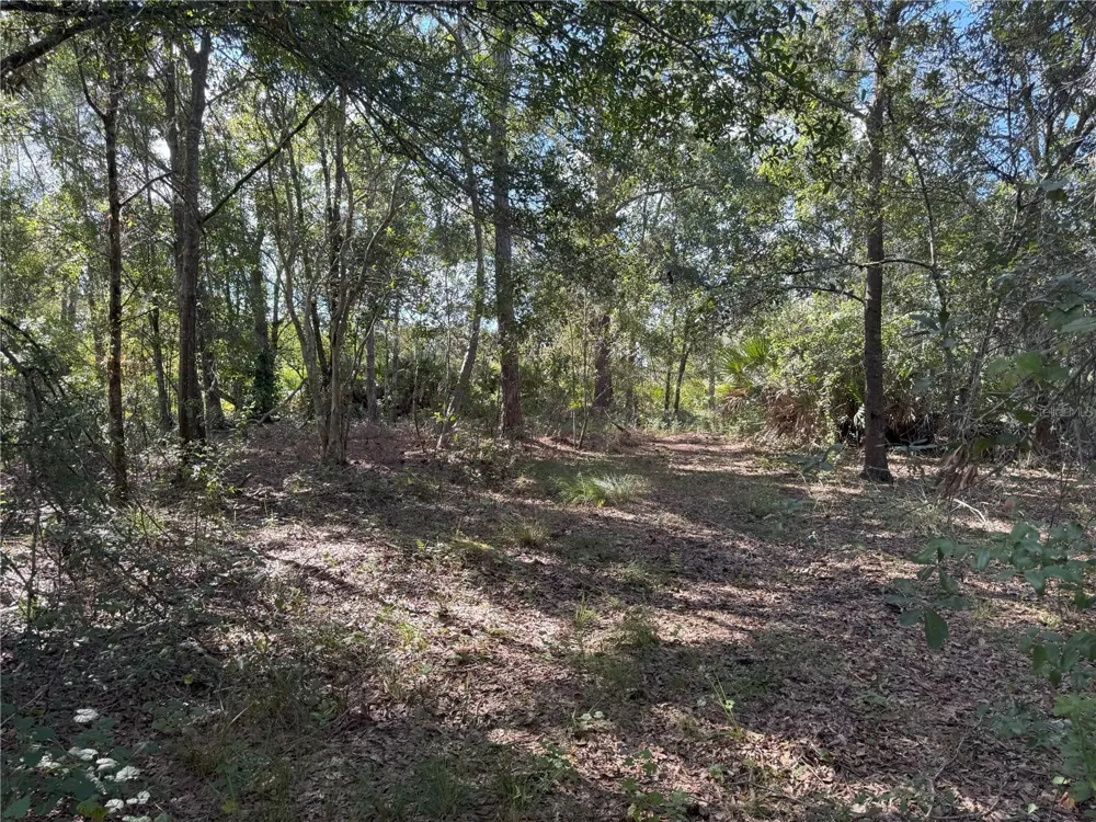 0 ALTURAS BABSON PARK CUT OFF ROAD Bartow, FL 33830
