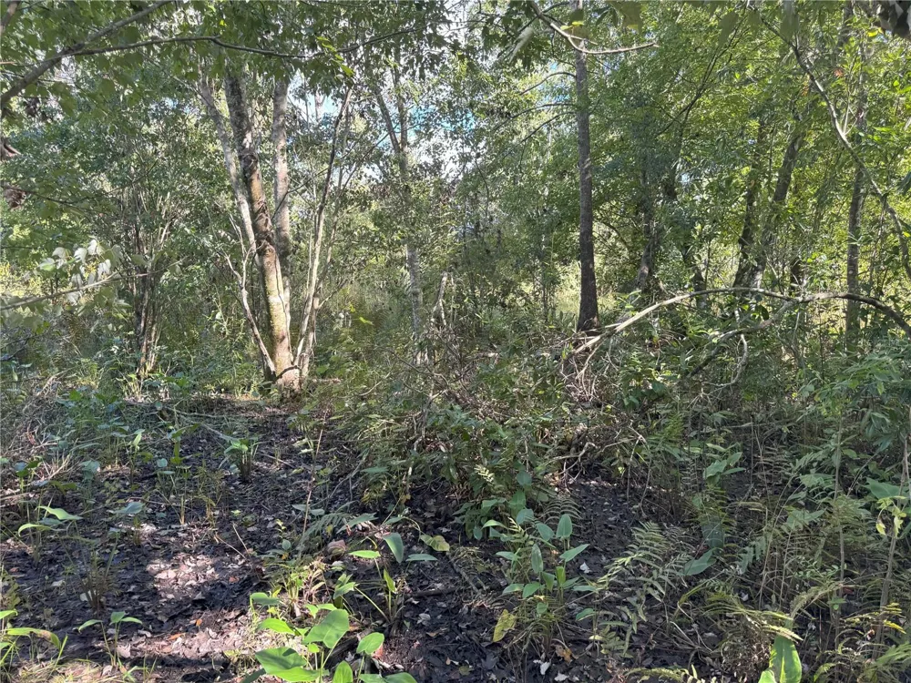 0 ALTURAS BABSON PARK CUT OFF ROAD Bartow, FL 33830