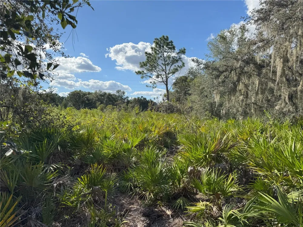 0 ALTURAS BABSON PARK CUT OFF ROAD Bartow, FL 33830