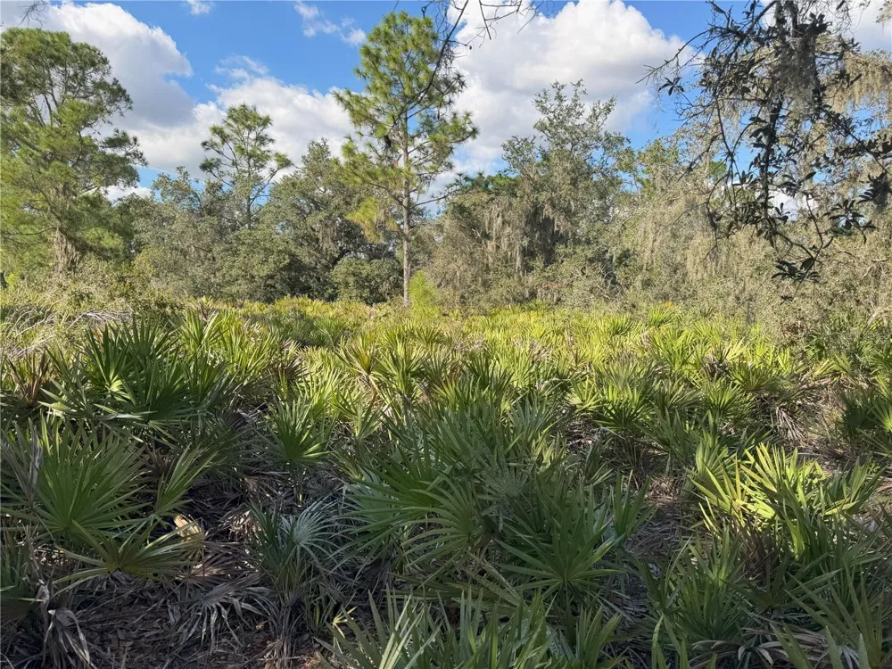 0 ALTURAS BABSON PARK CUT OFF ROAD Bartow, FL 33830