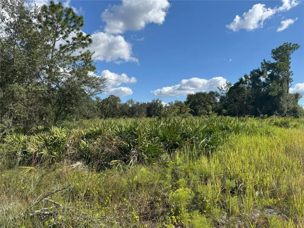 0 ALTURAS BABSON PARK CUT OFF ROAD Bartow, FL 33830