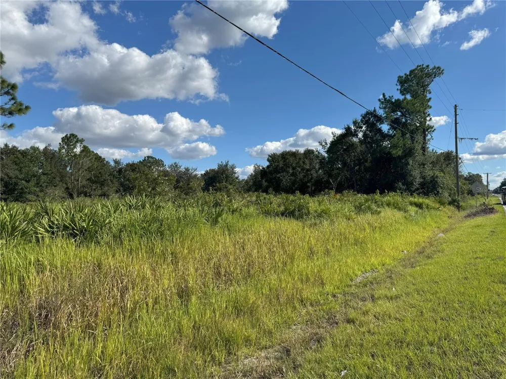 0 ALTURAS BABSON PARK CUT OFF ROAD Bartow, FL 33830