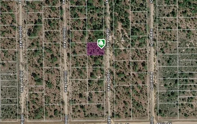LOT 14 15 16 AND 17 IDAHO AVENUE Hawthorne, FL 32640
