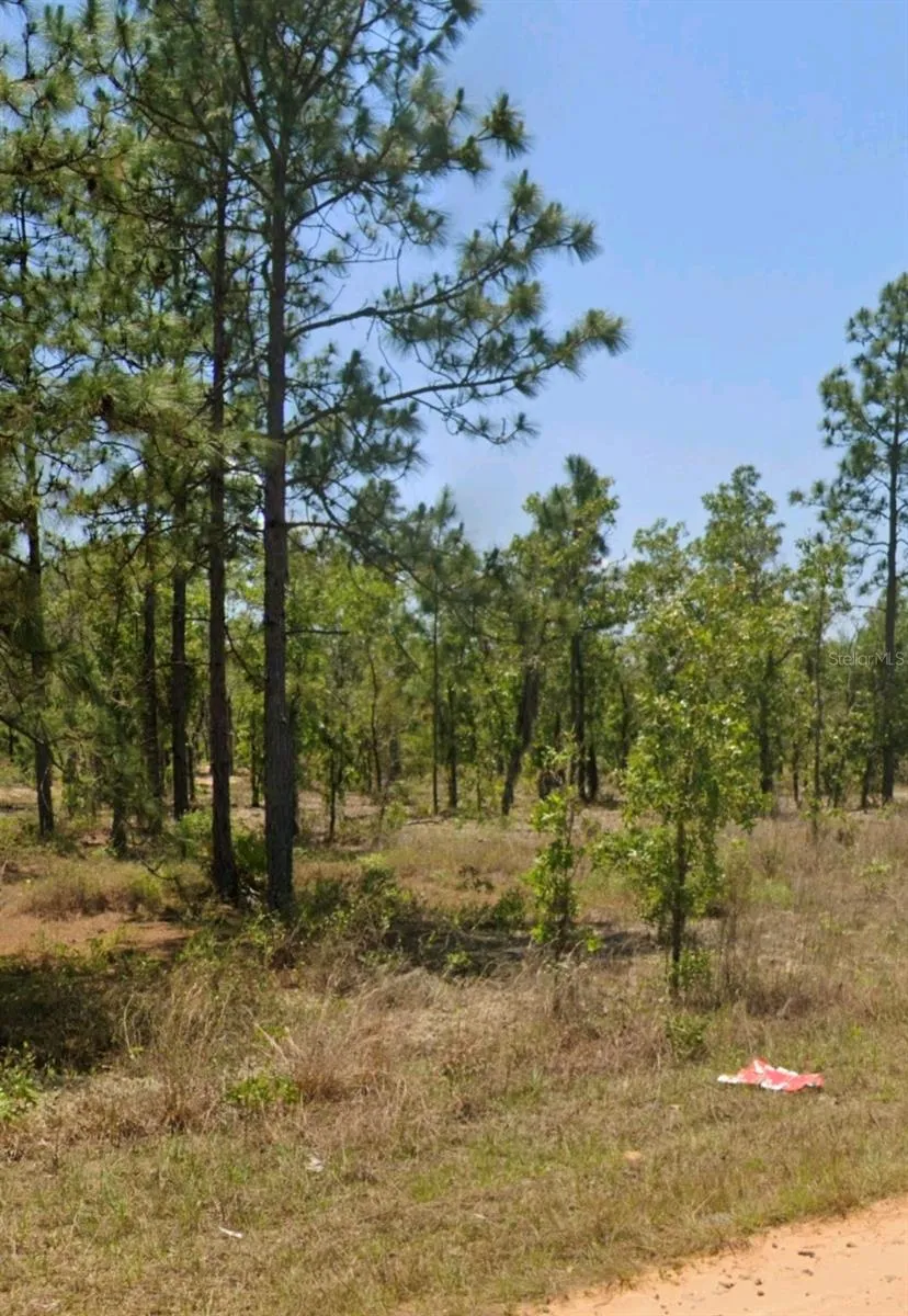 LOT 14 15 16 AND 17 IDAHO AVENUE Hawthorne, FL 32640