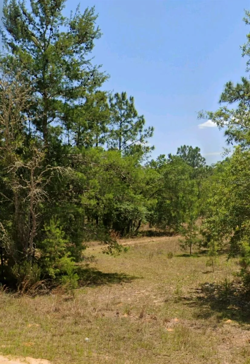 LOT 14 15 16 AND 17 IDAHO AVENUE Hawthorne, FL 32640