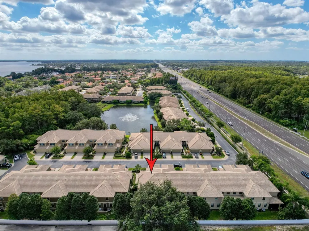 2539 SILVERBACK COURT Palm Harbor, FL 34684
