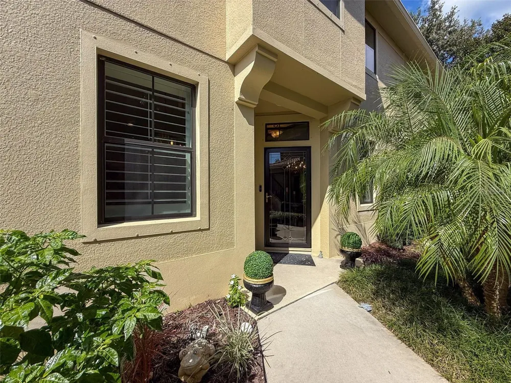 2539 SILVERBACK COURT Palm Harbor, FL 34684